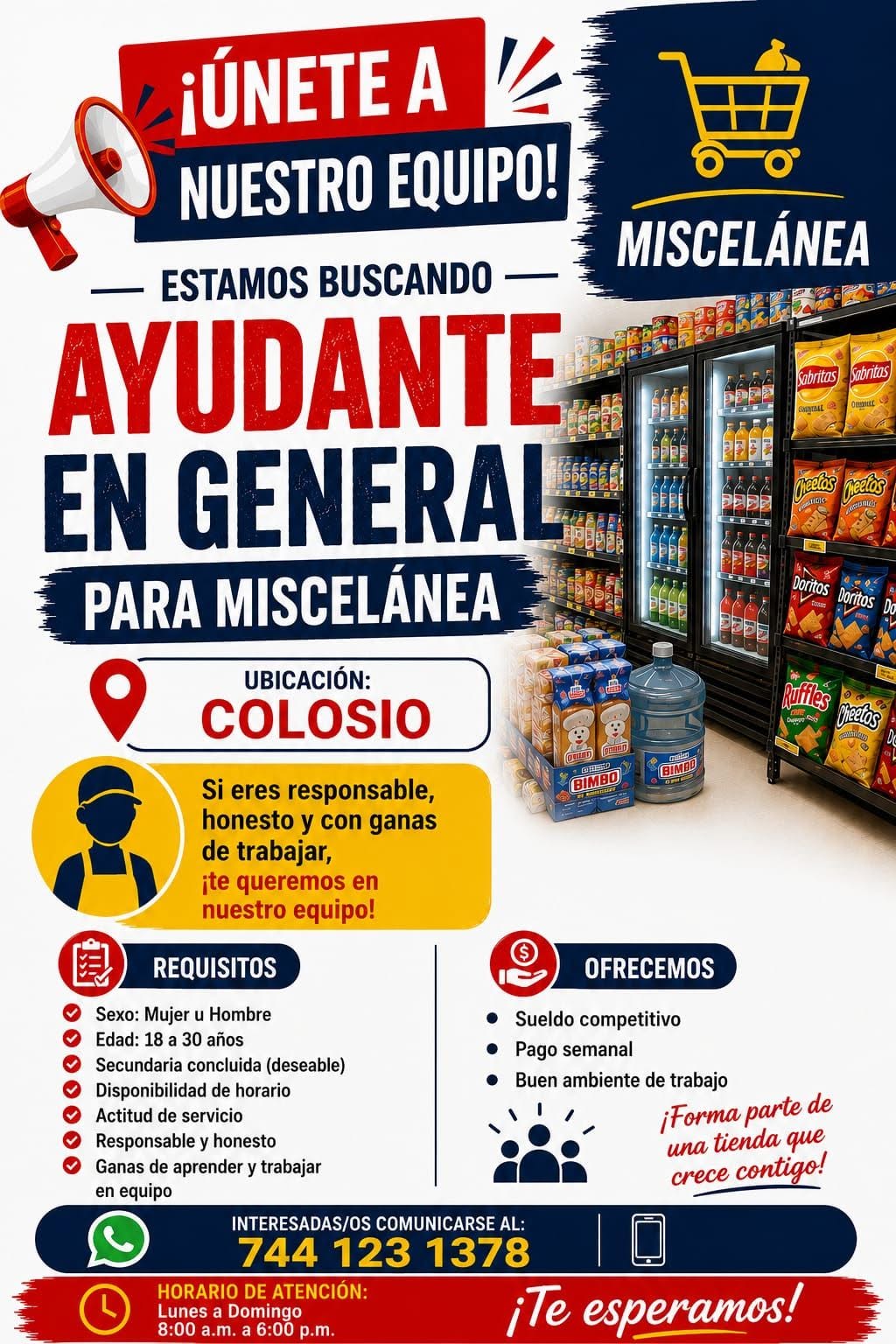 Ayudante en General