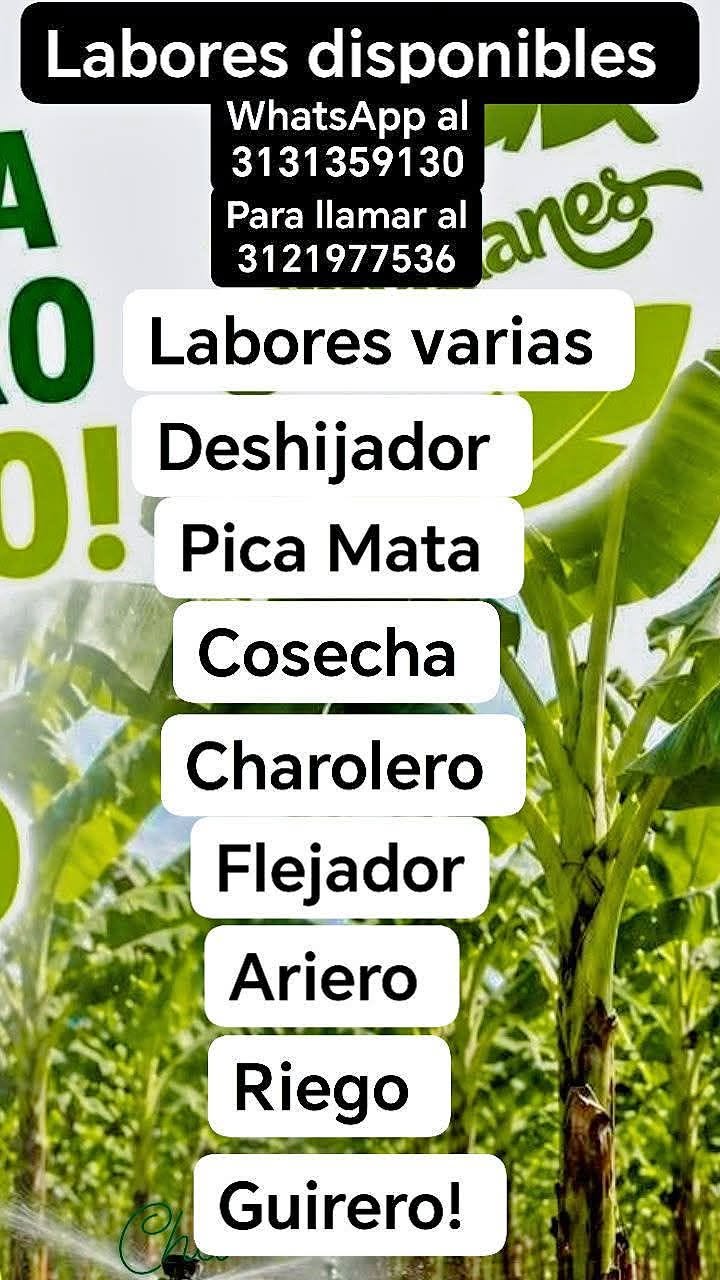 Deshijador