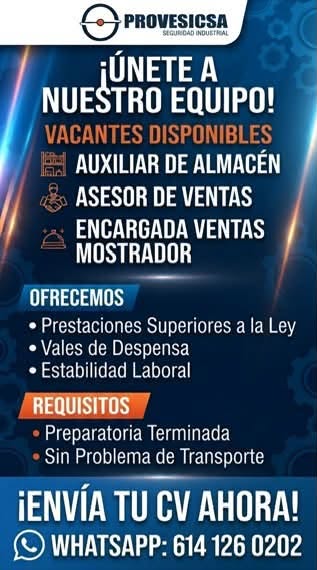 Auxiliar de Almacén