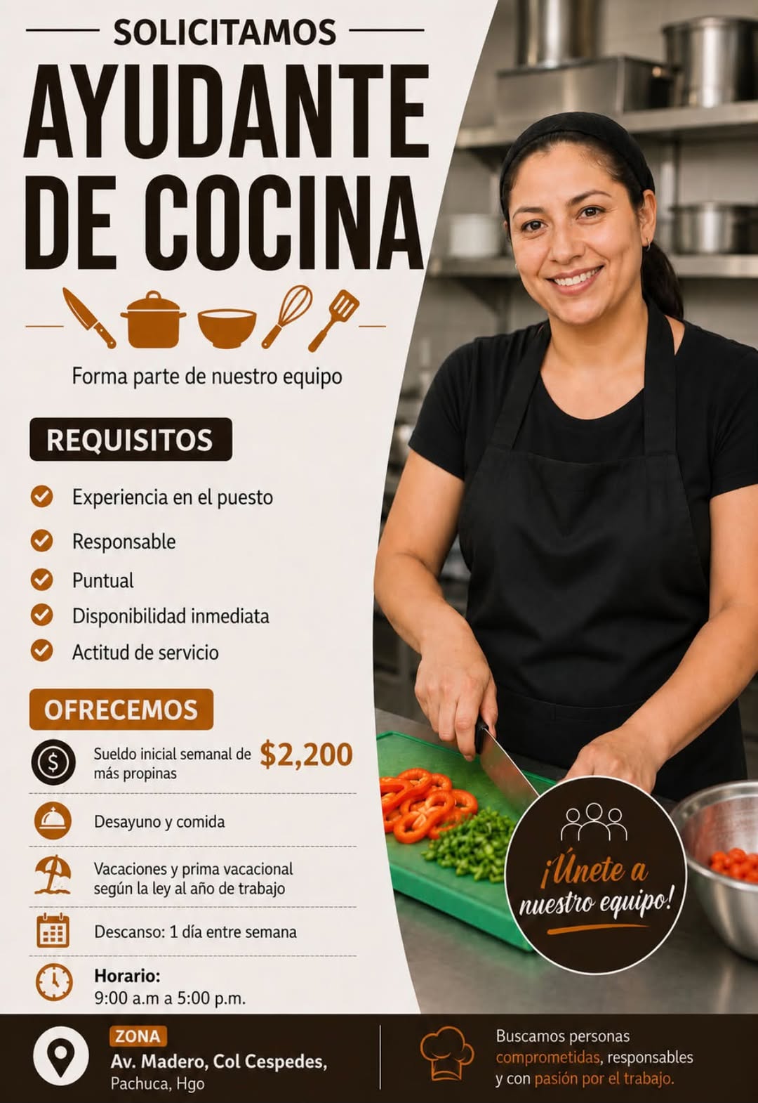 Ayudante de Cocina