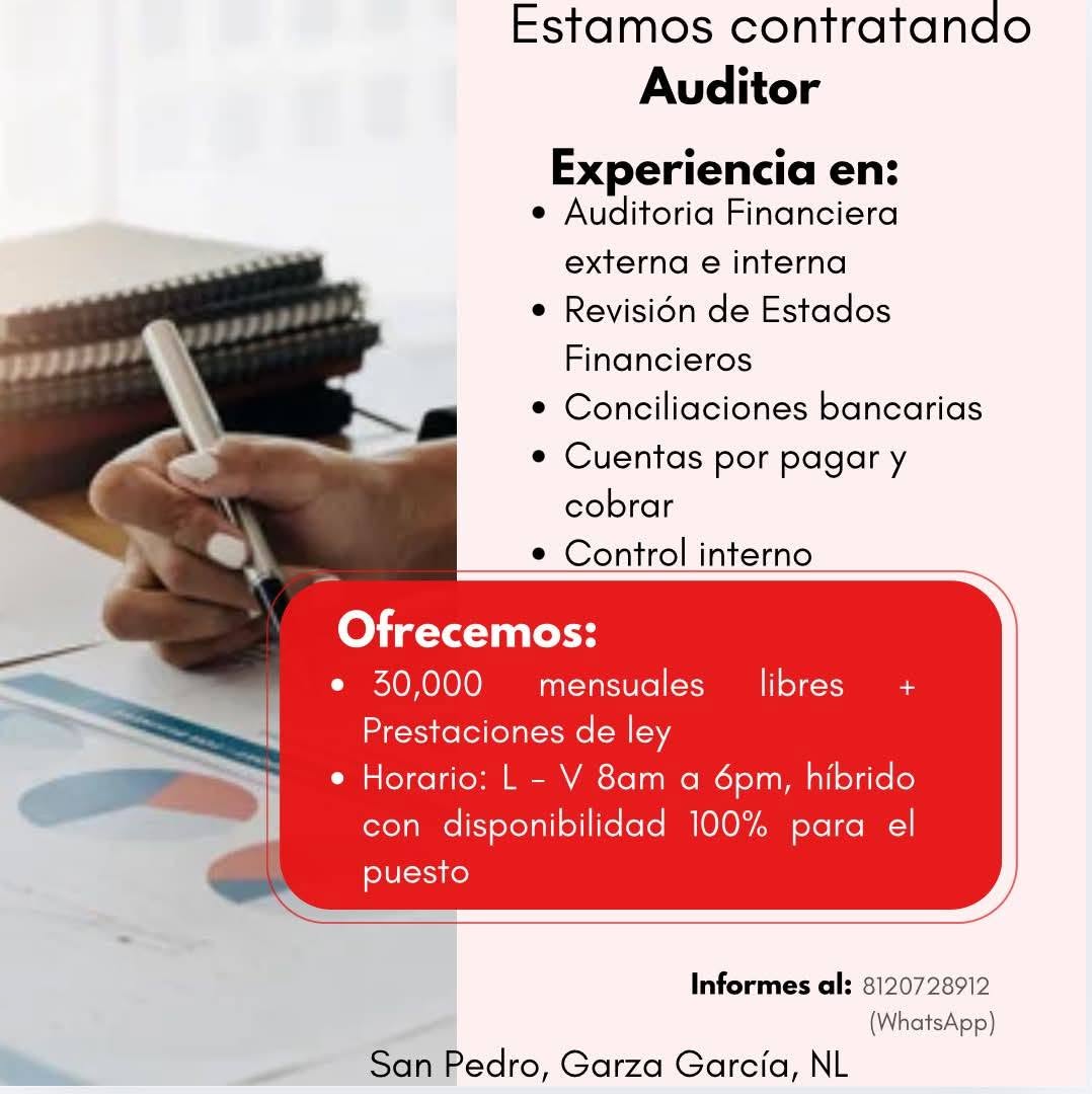 Auditor