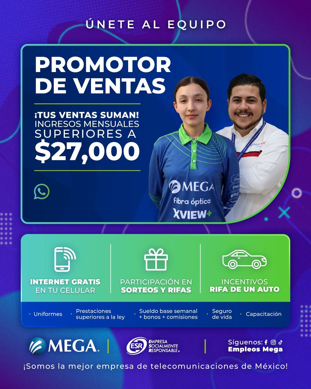 Promotor de Ventas