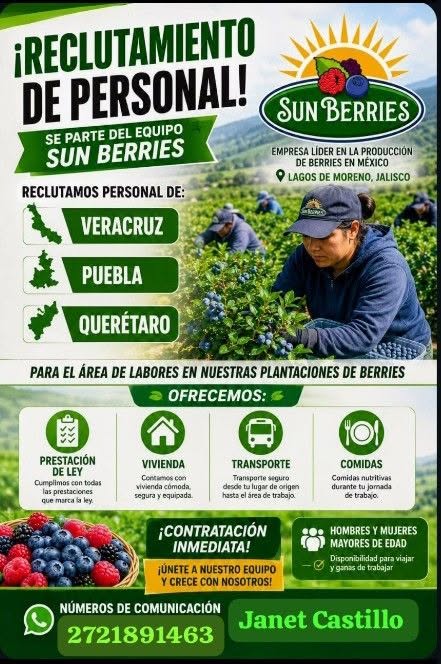 Personal para plantaciones de berries