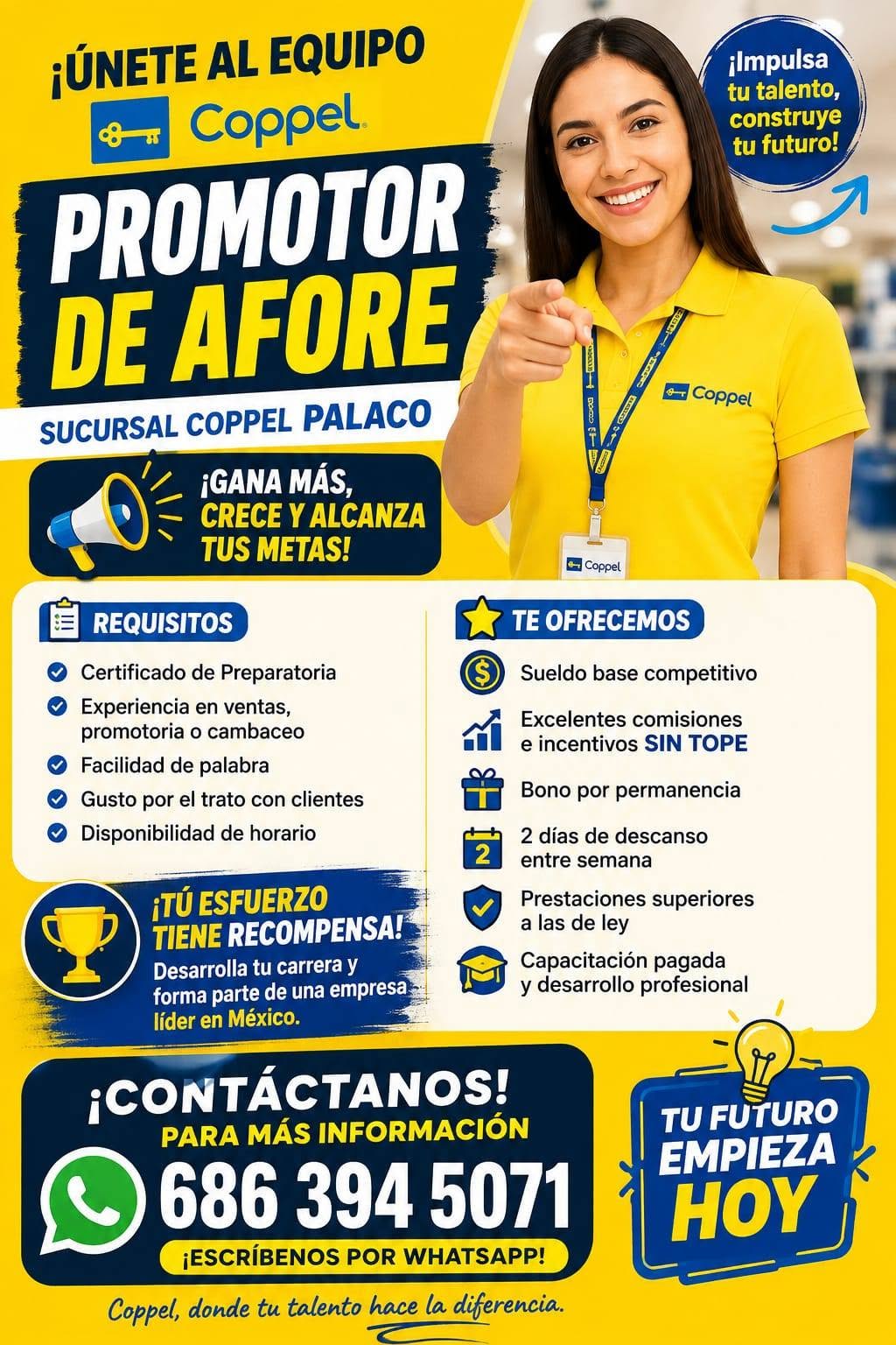 Promotor de Afore