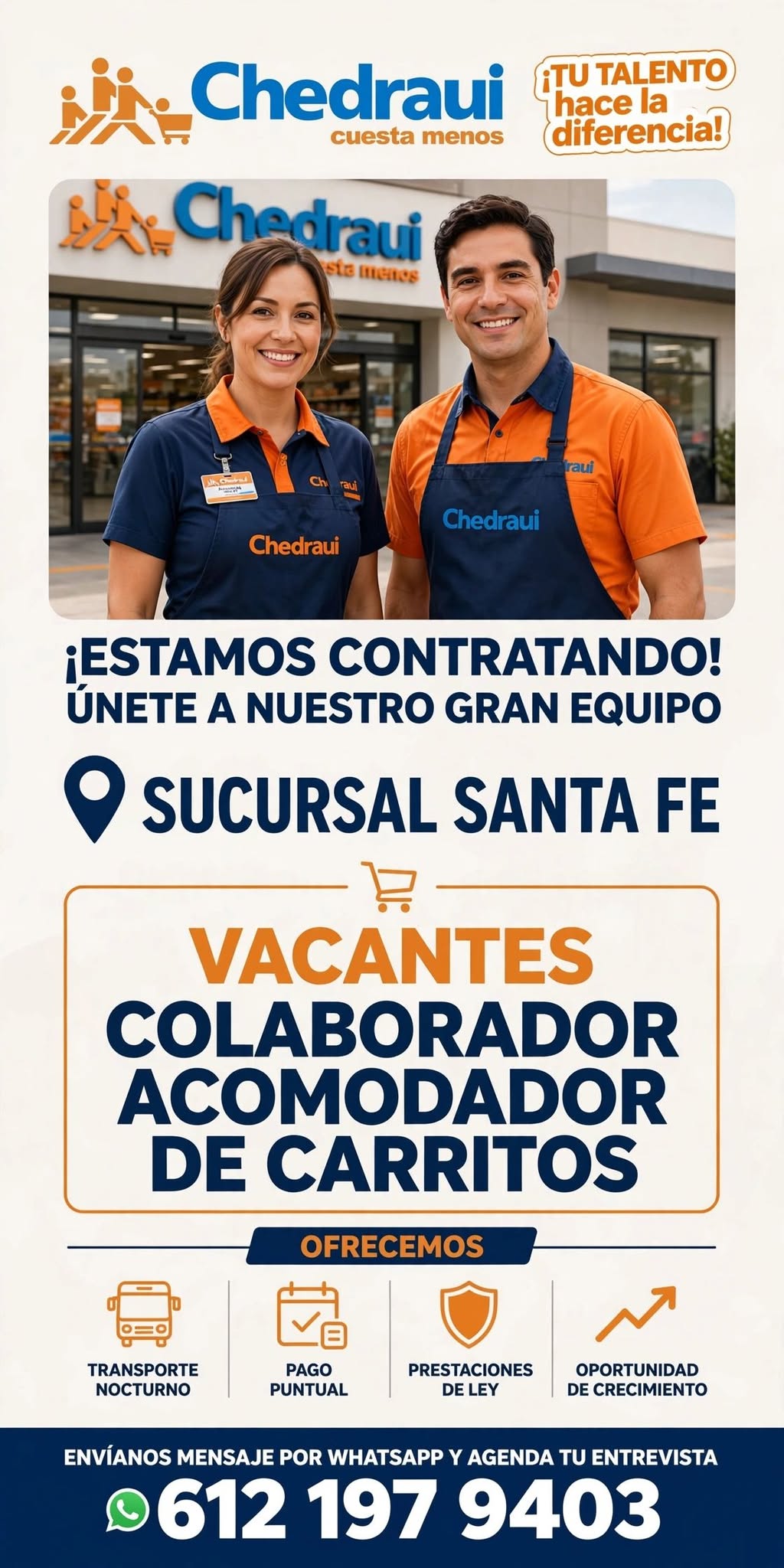 Colaborador Acomodador de Carritos