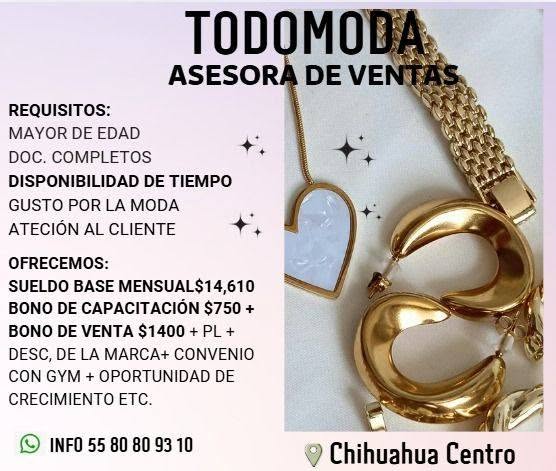 Asesora de Ventas