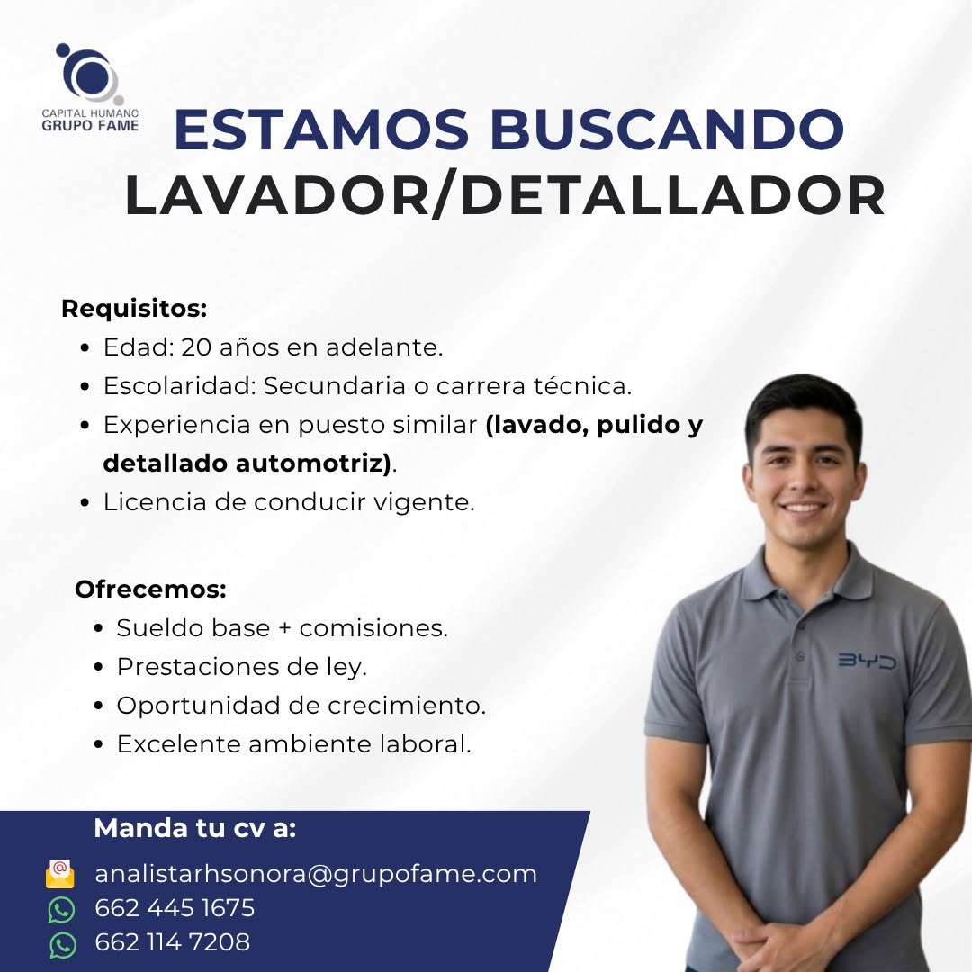 Lavador/Detallador de Autos