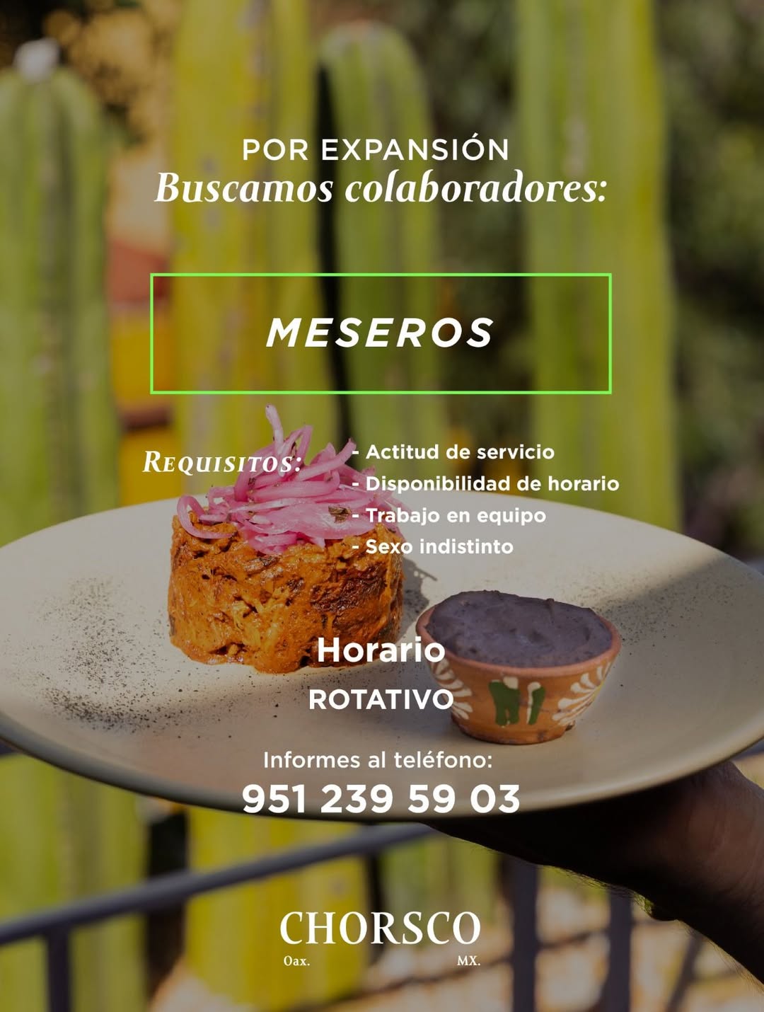 Mesero/a