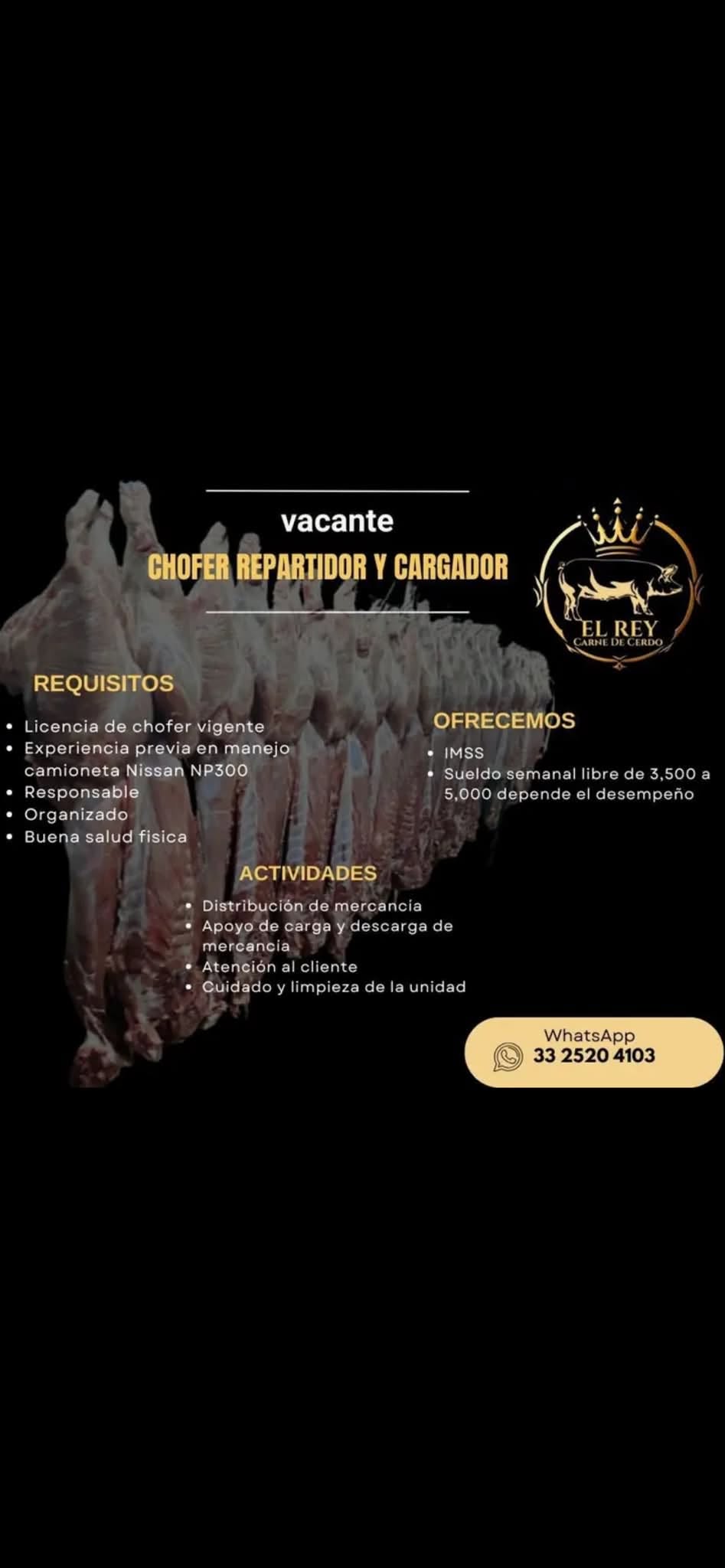 Chofer Repartidor