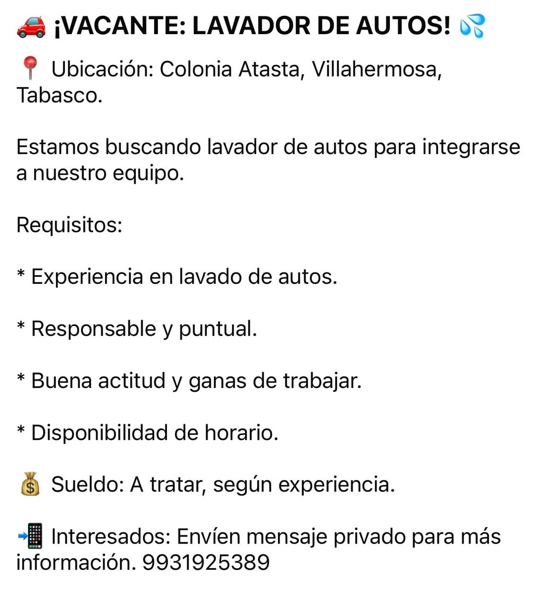Lavador de Autos