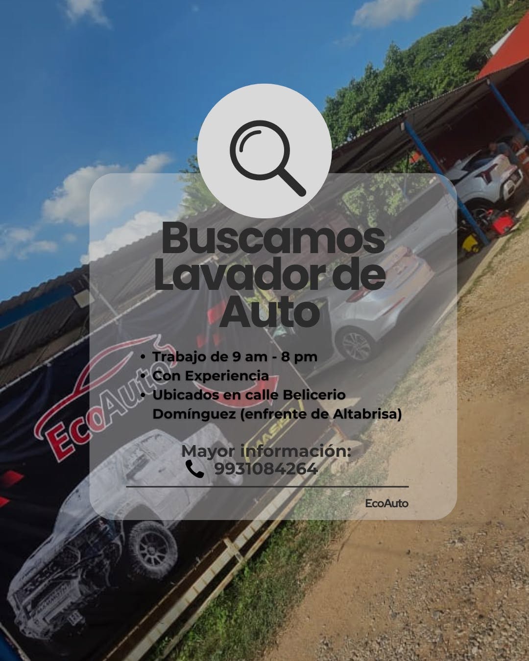 Lavador de Autos