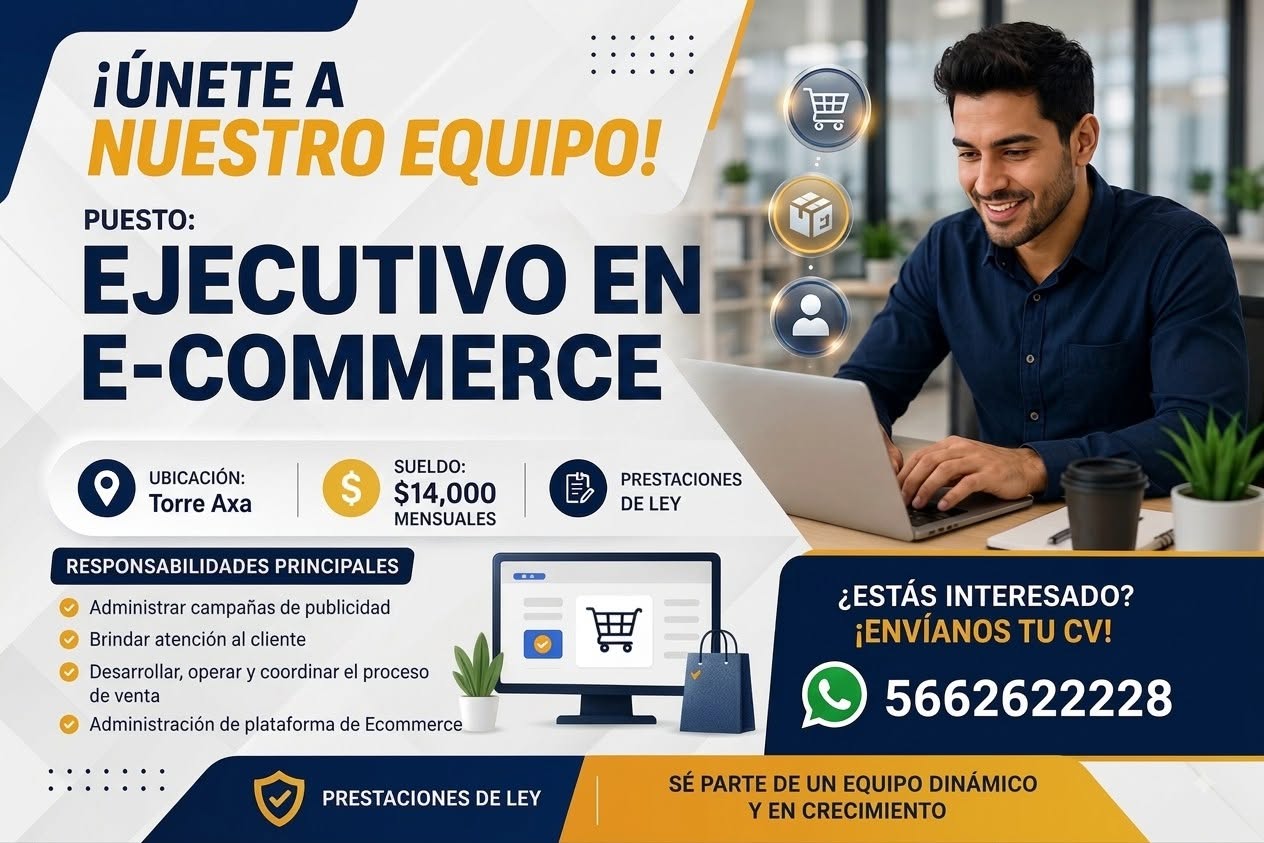 Ejecutivo de E-commerce