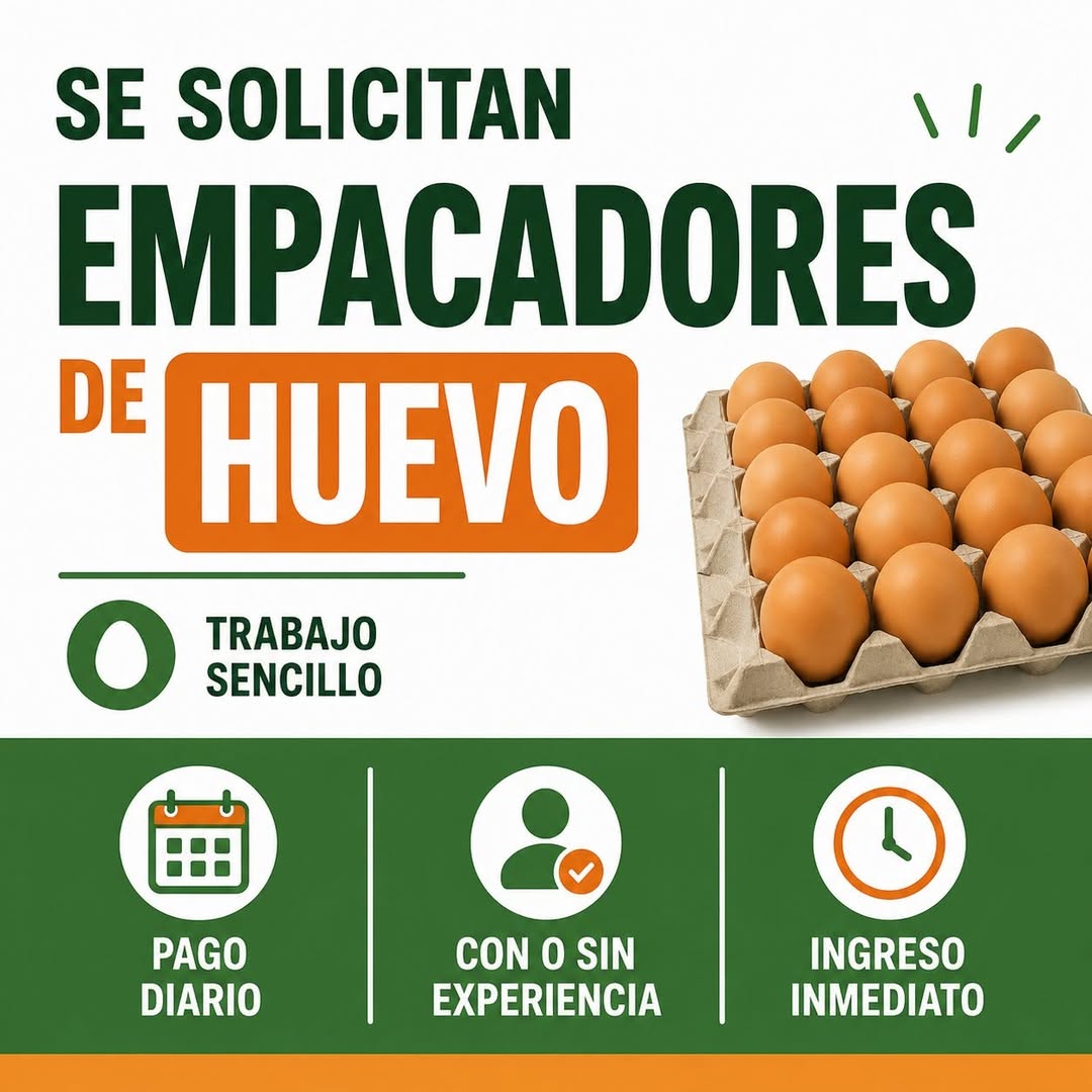 Empacador de Huevo