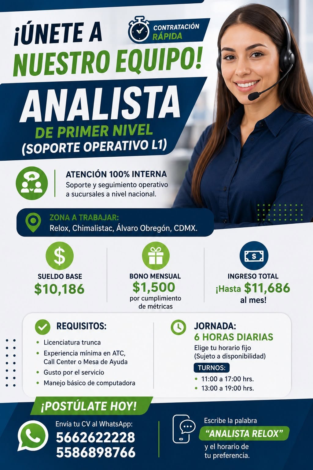 Analista de Primer Nivel