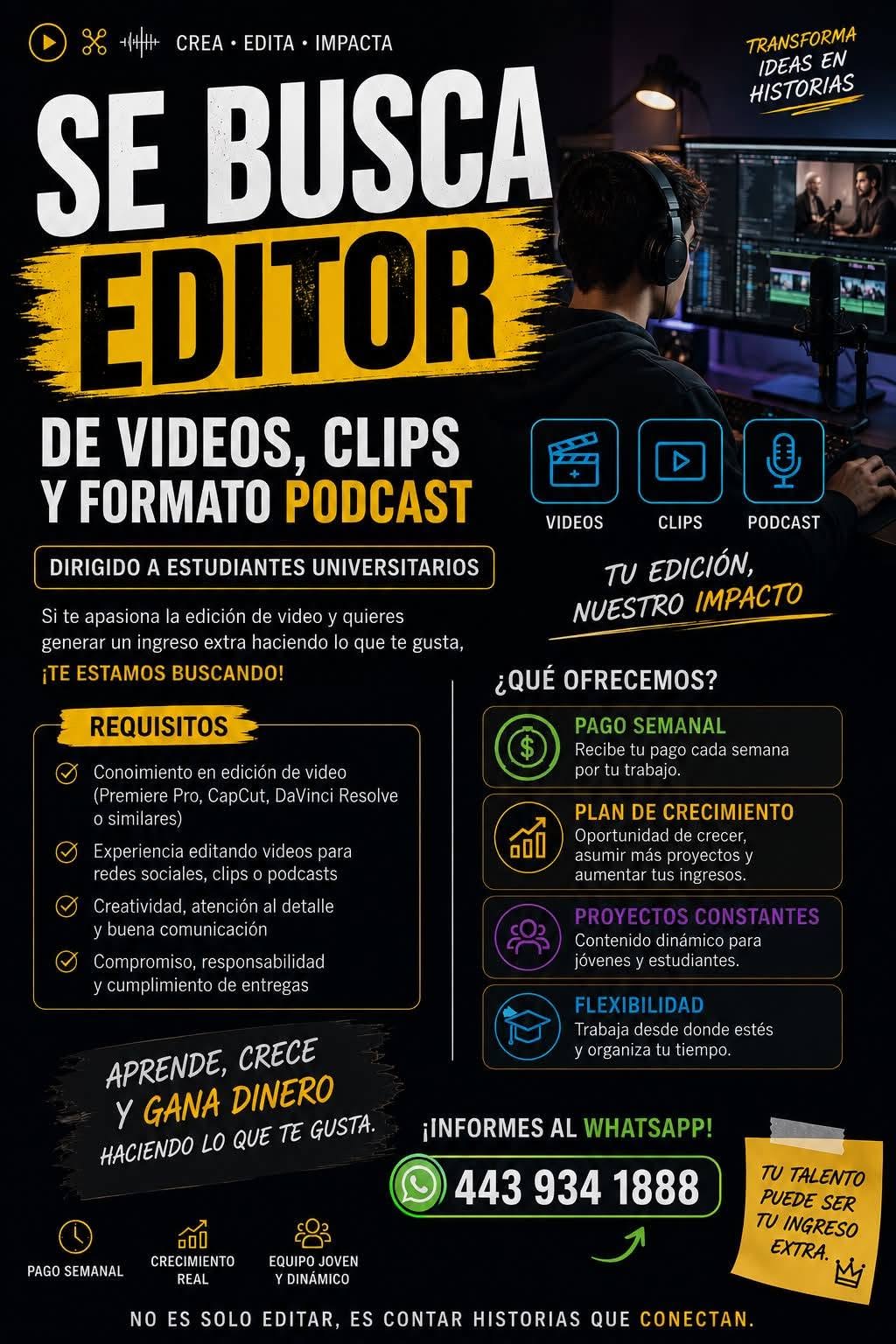 Editor de Videos