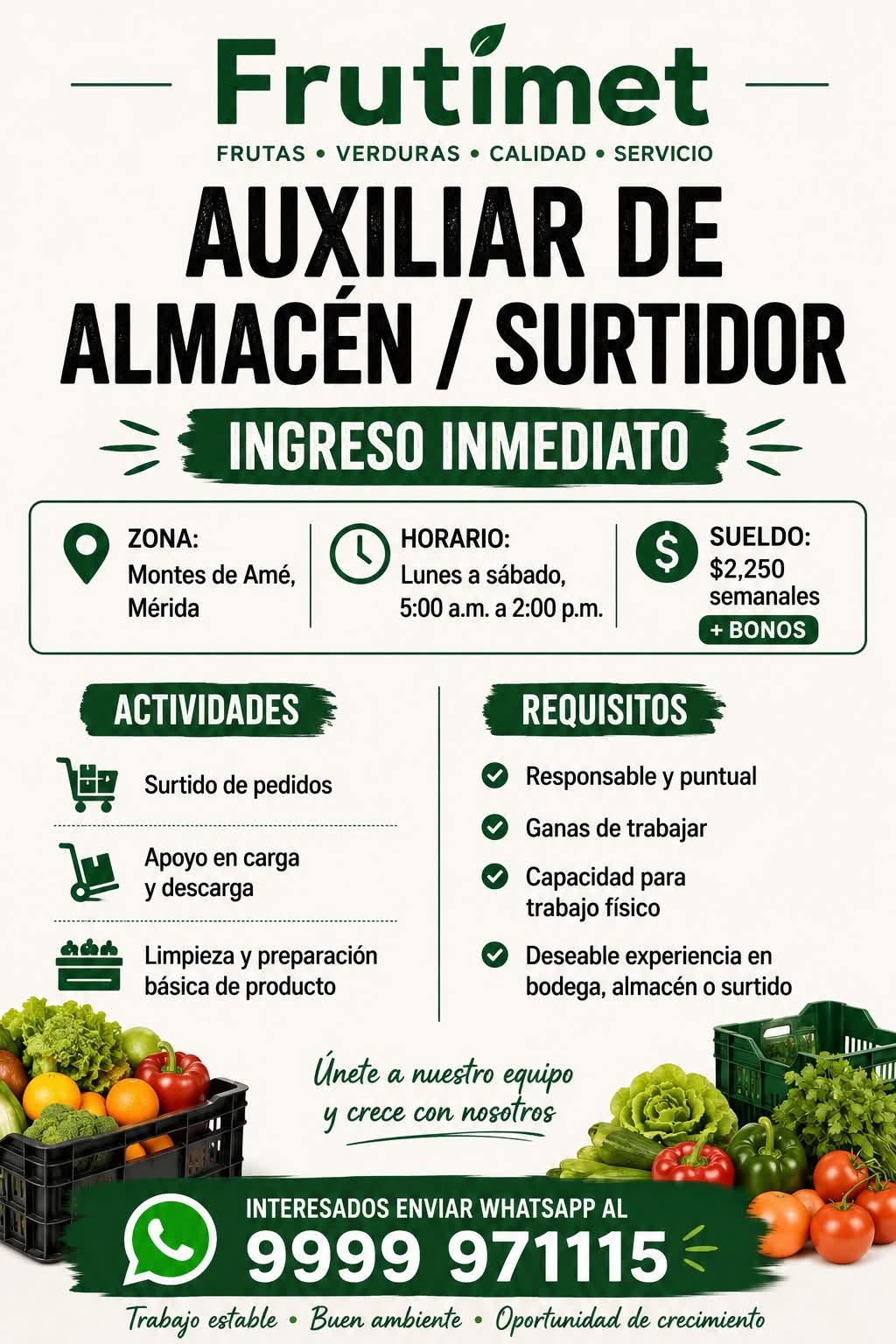 Auxiliar de Almacén / Surtidor