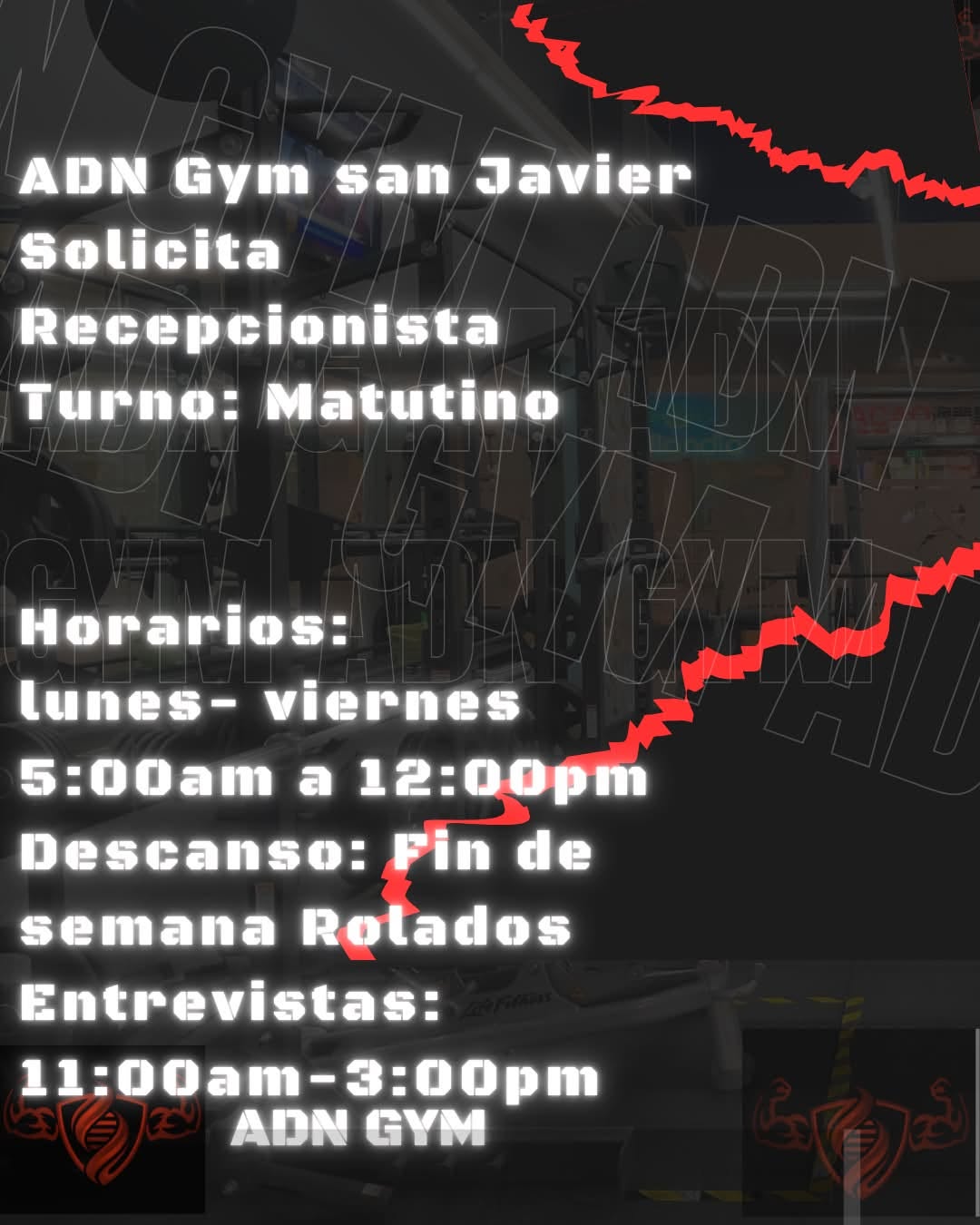 Recepcionista