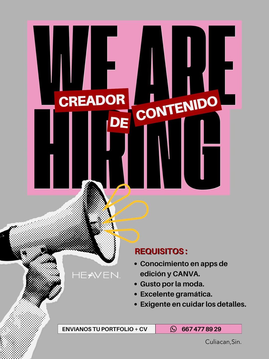 Creador de Contenido