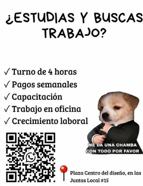 Vacante disponible