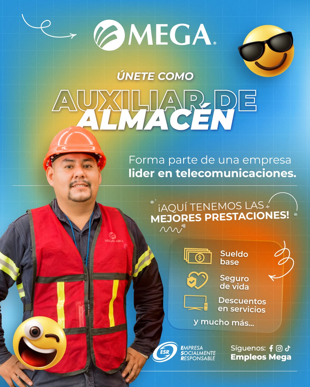 Auxiliar de Almacén