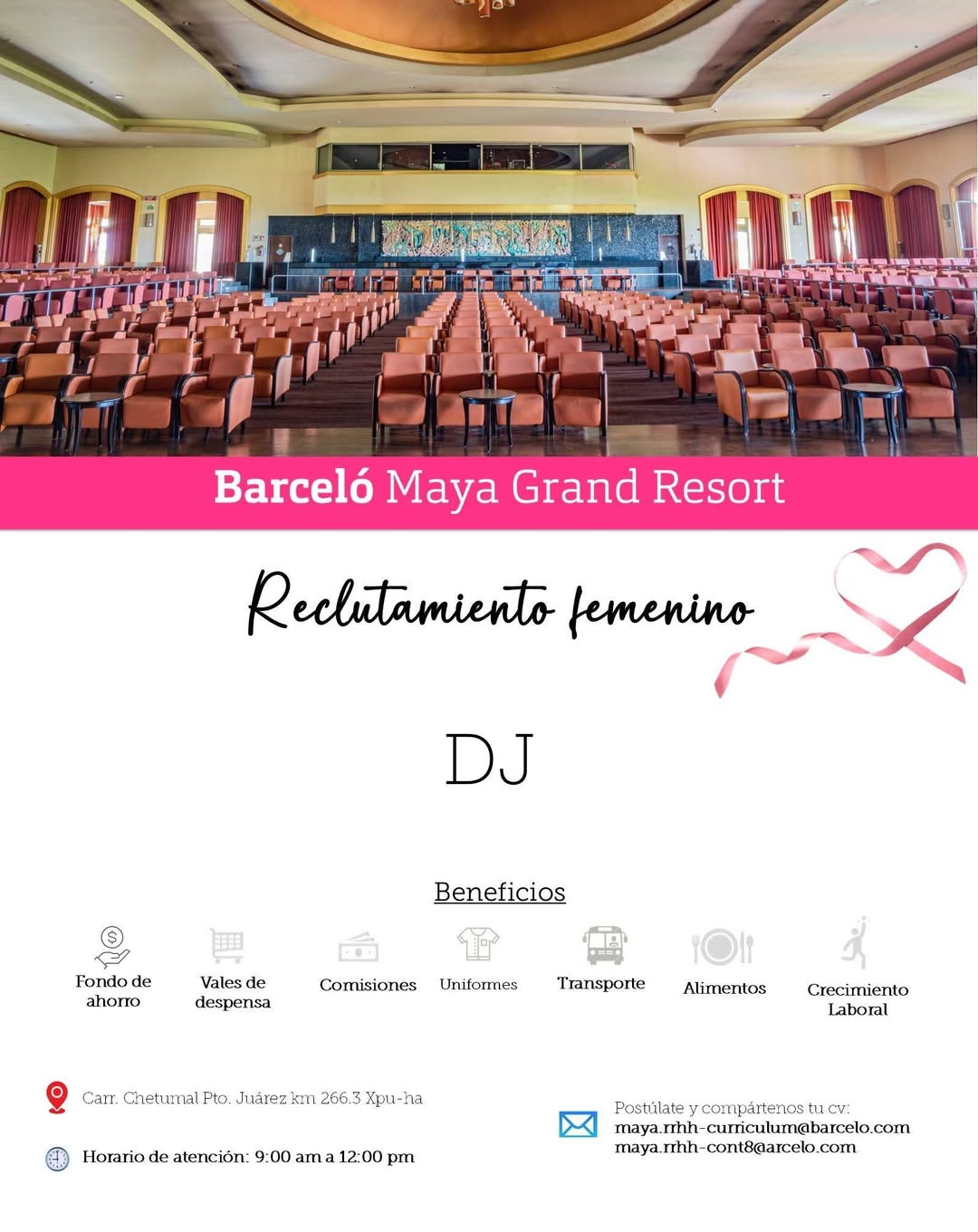 Vacante disponible