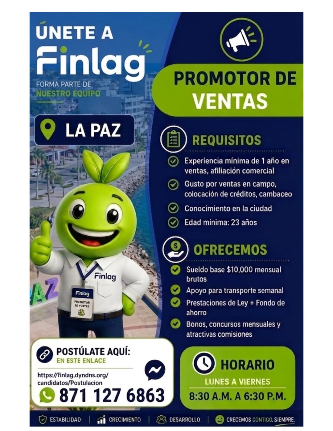 Promotor de Ventas