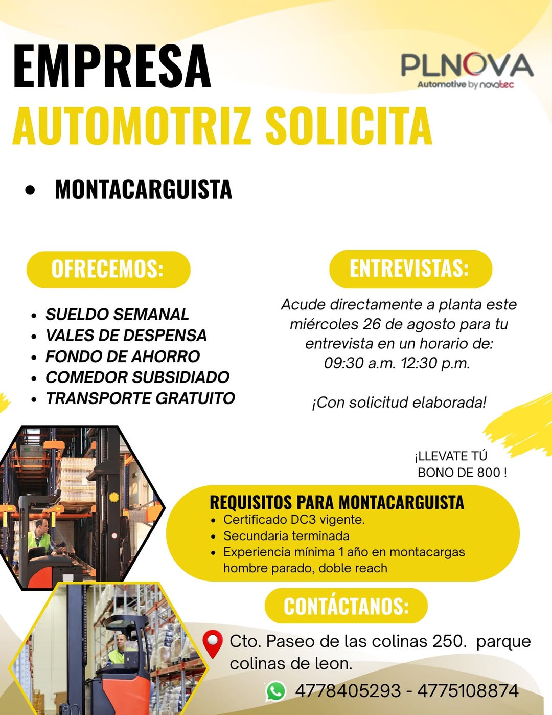 Montacarguista
