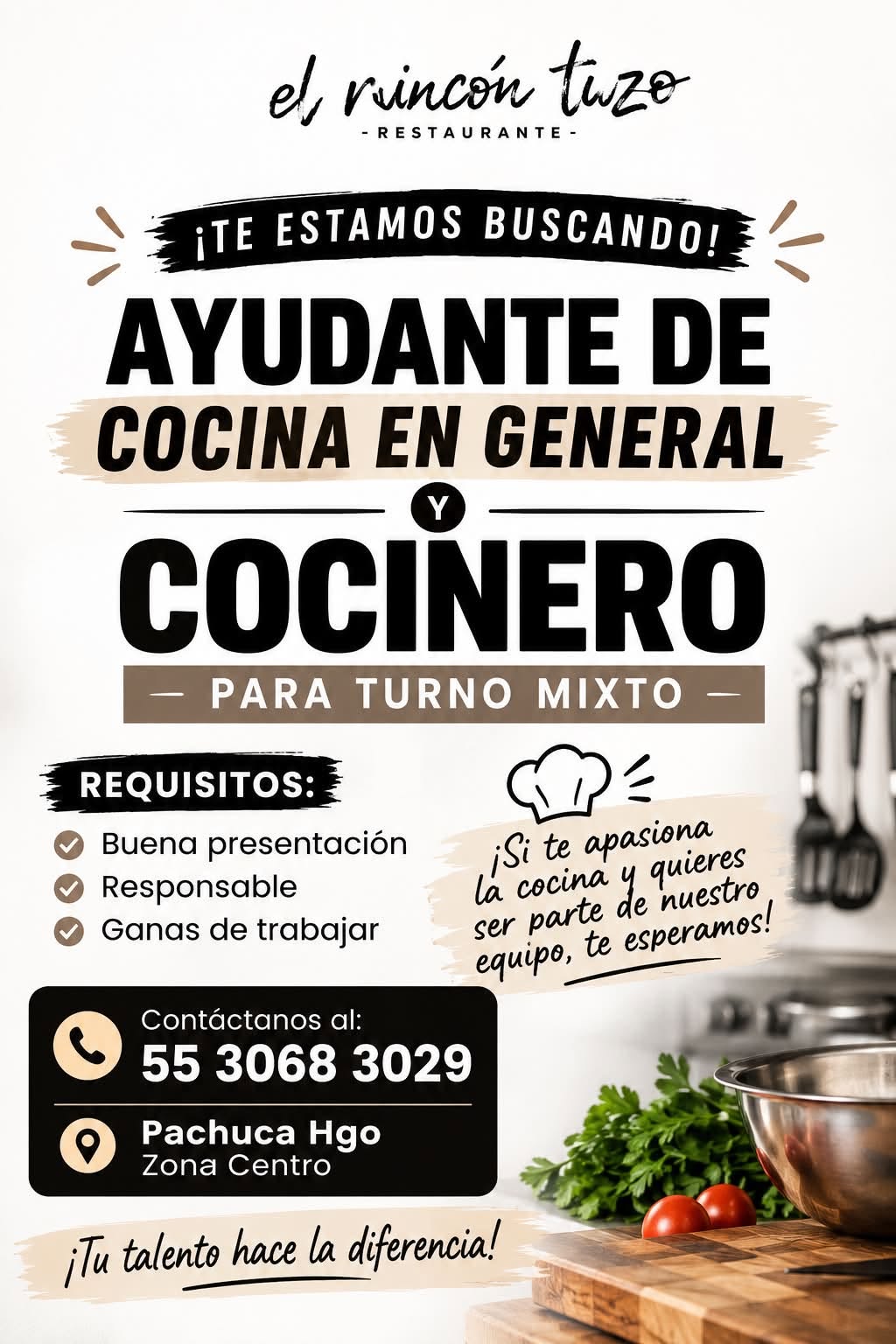 Ayudante de Cocina