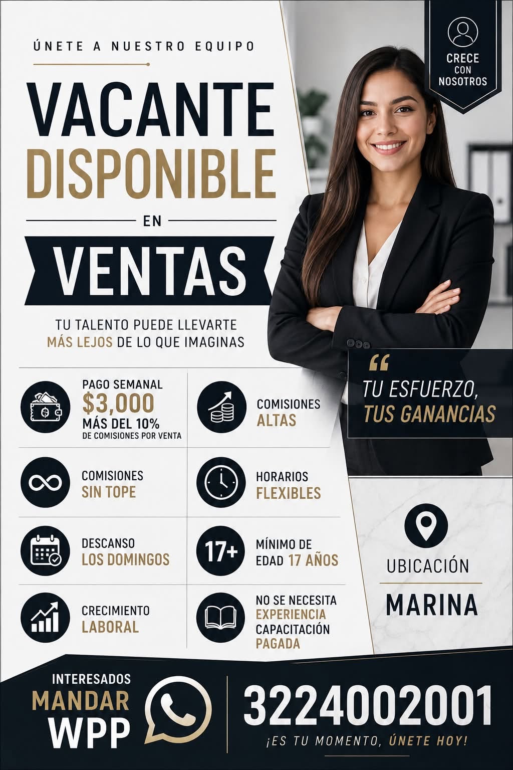 Vendedor