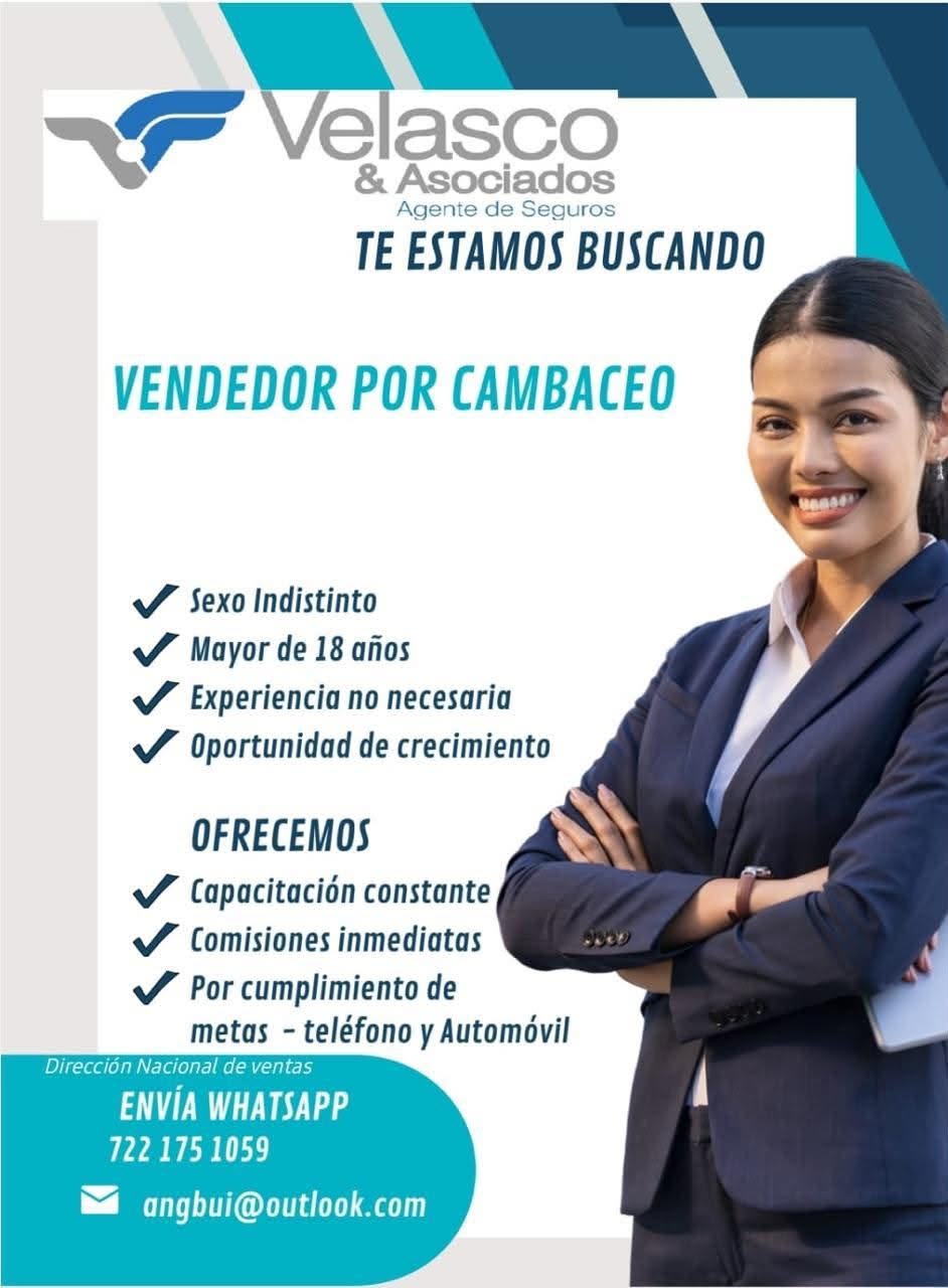 Vendedor por Cambaceo