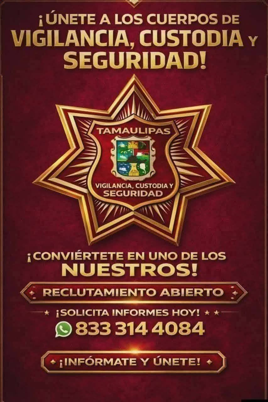 Vigilante de Seguridad