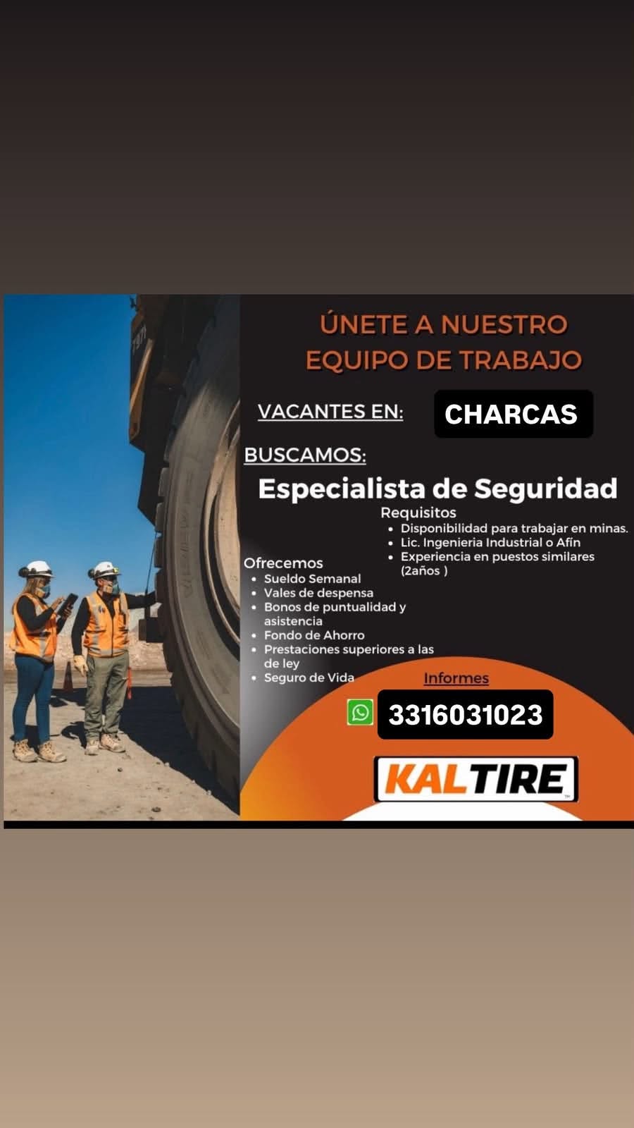 Especialista de Seguridad