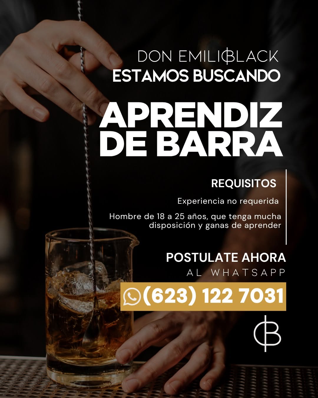 Aprendiz de Barra