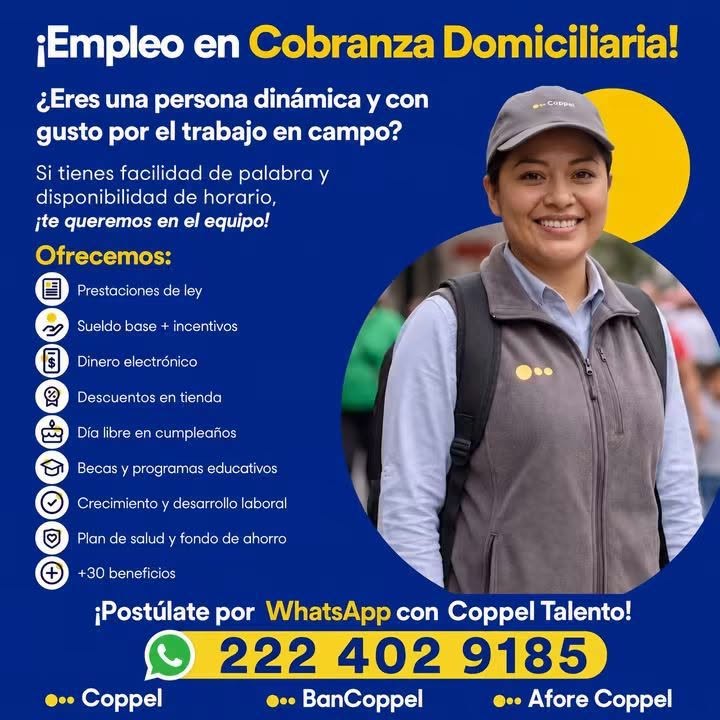 Auxiliar de Cobranza