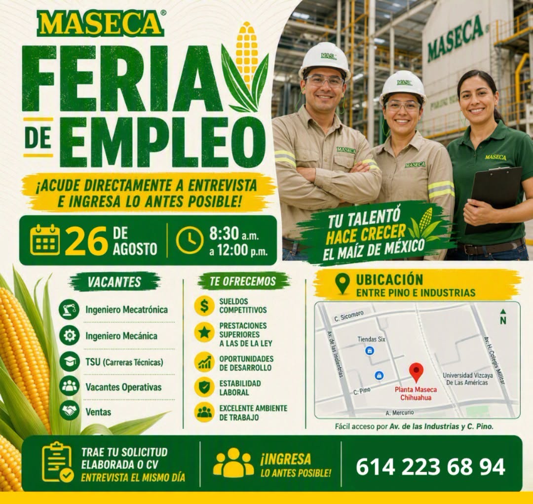 Ingeniero Mecatrónico