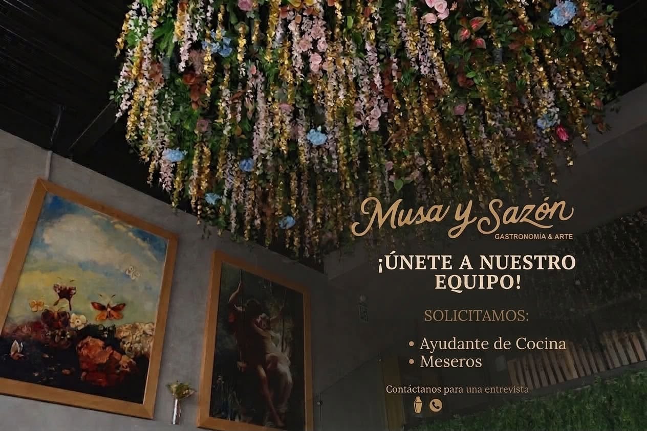 Ayudante de Cocina
