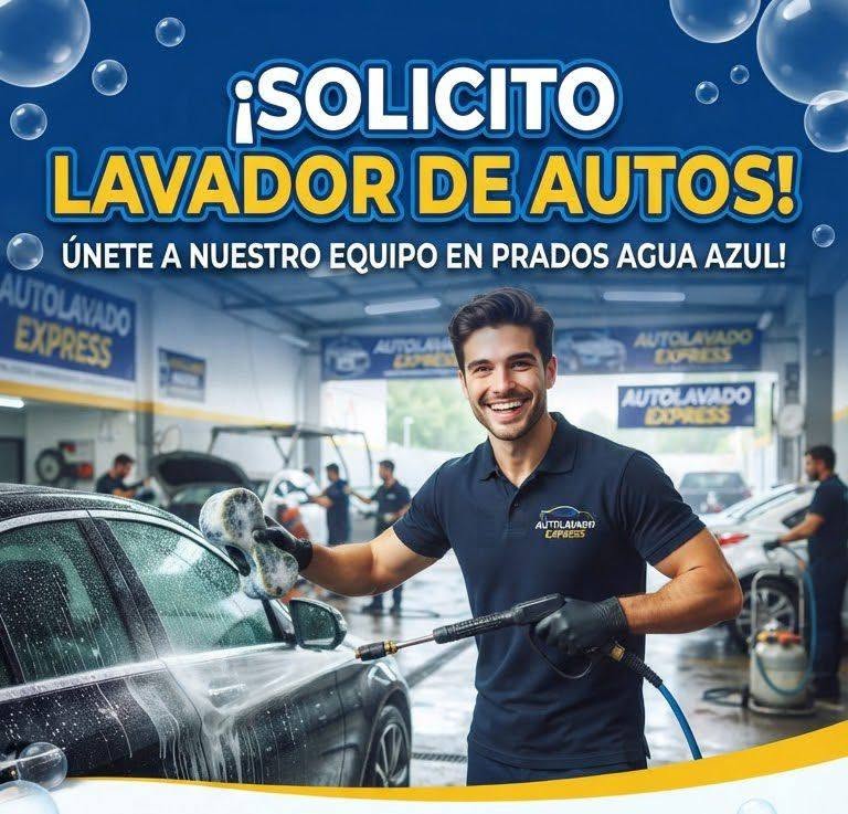 Lavador de Autos