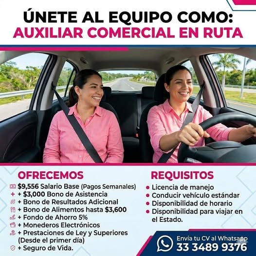 Auxiliar Comercial en Ruta