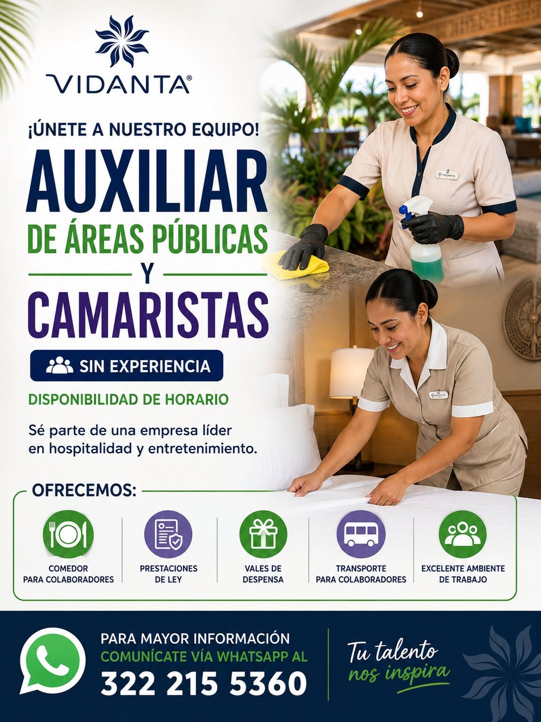 Auxiliar de Áreas Públicas