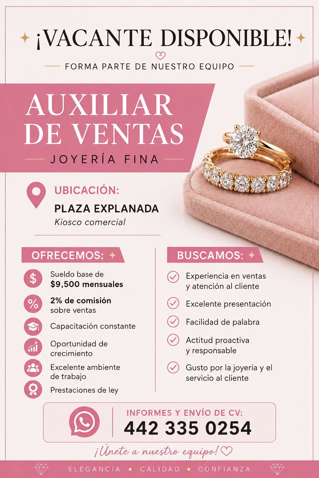 Auxiliar de Ventas