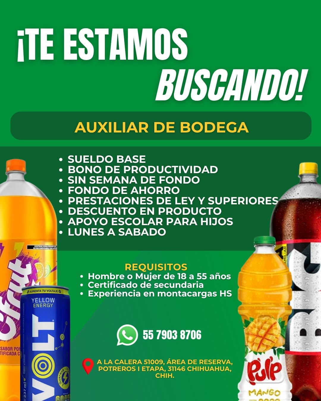 Auxiliar de Bodega