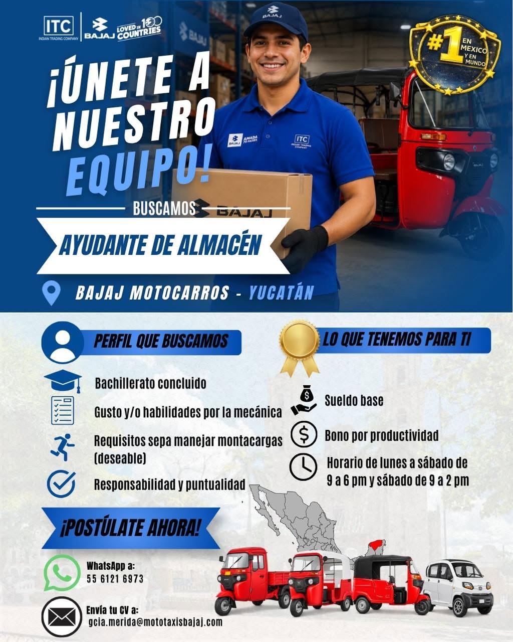 Ayudante de Almacén
