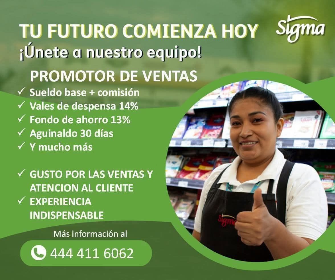 Promotor/a de Ventas