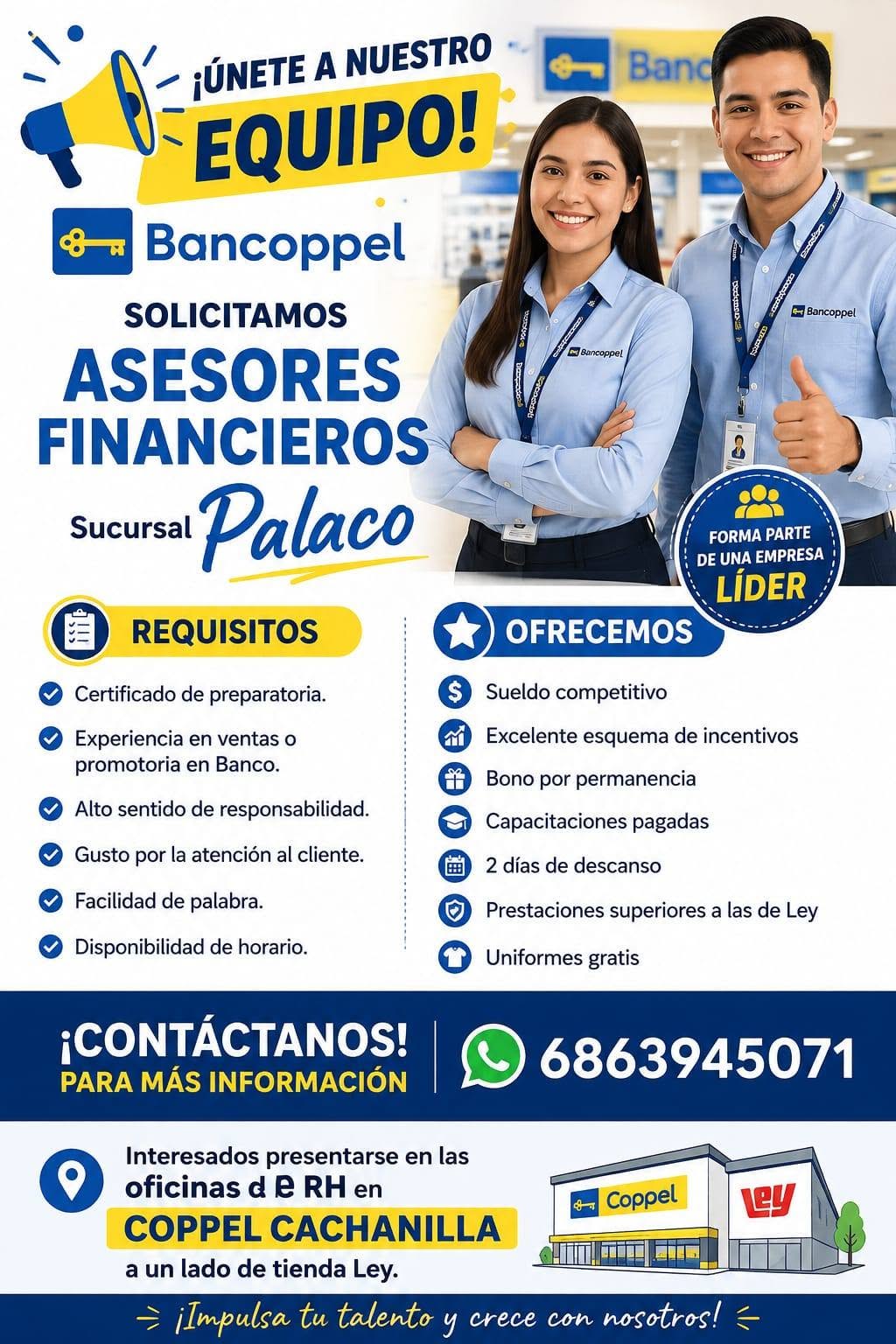 Asesor Financiero
