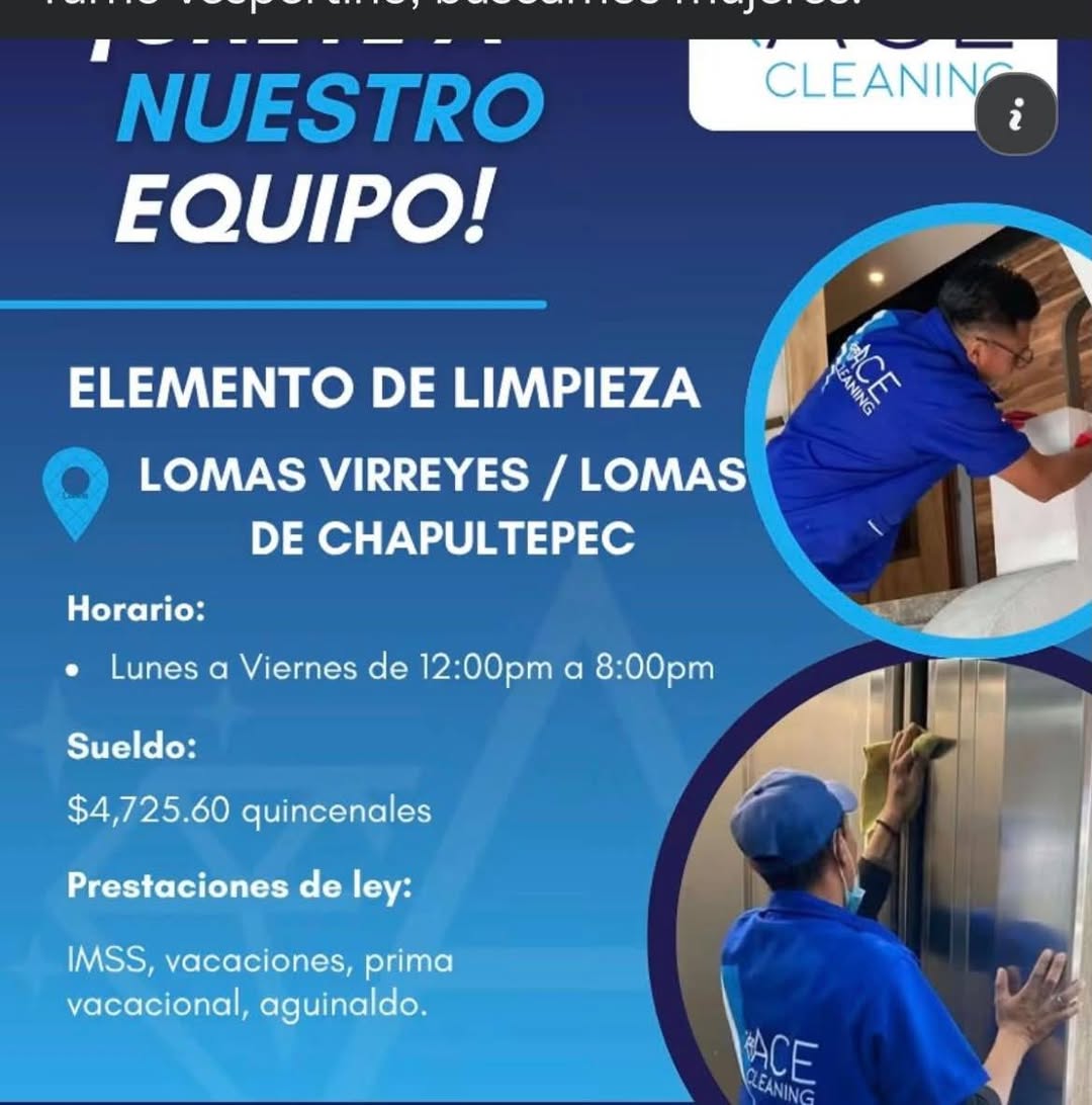 Elemento de Limpieza