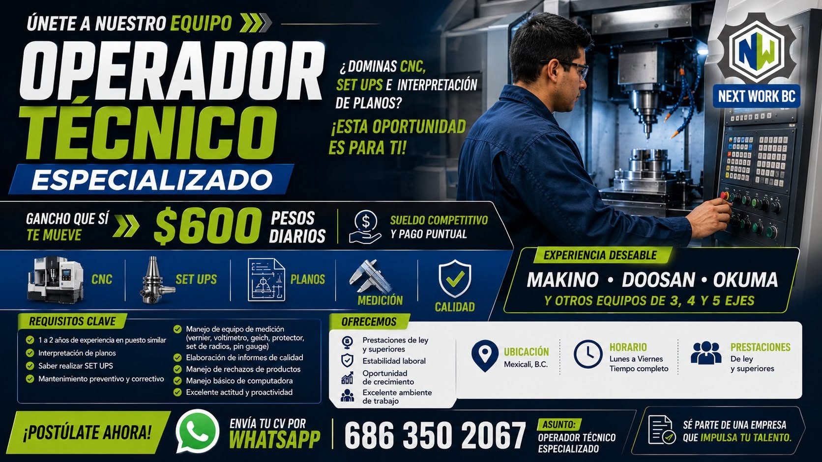 Operador Set Up
