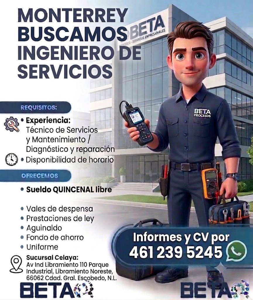 Ingeniero de Servicios