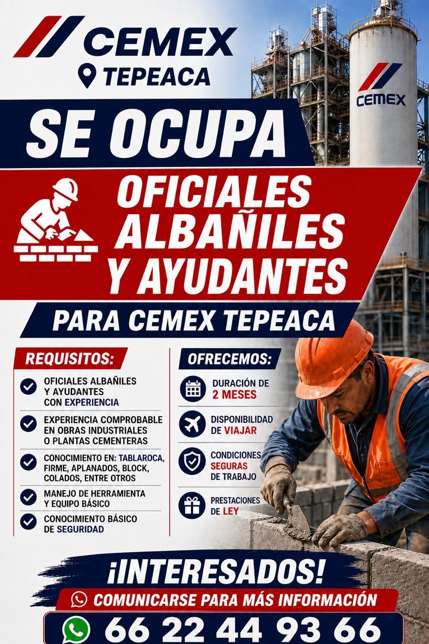 Oficial Albañil
