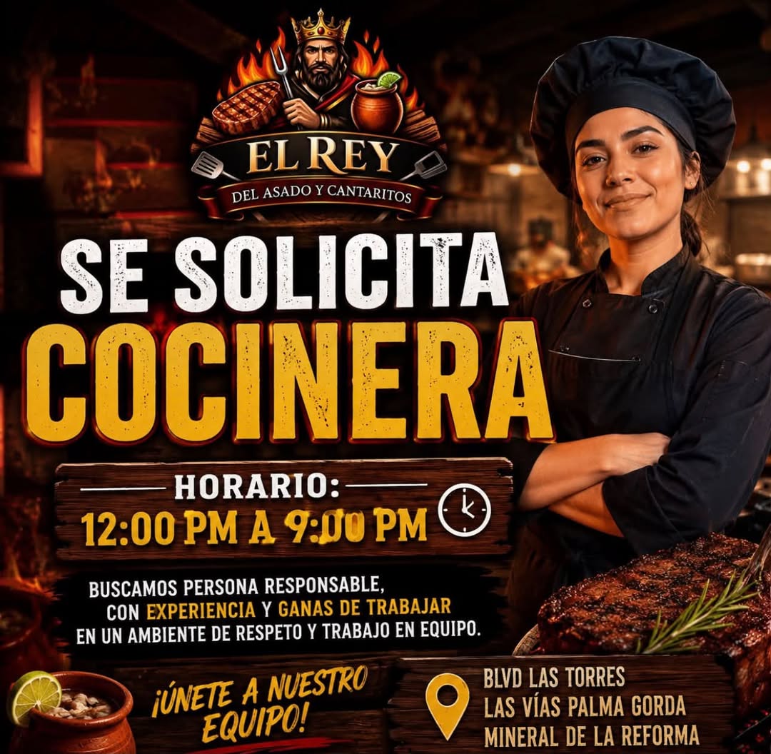 Ayudante de Cocina