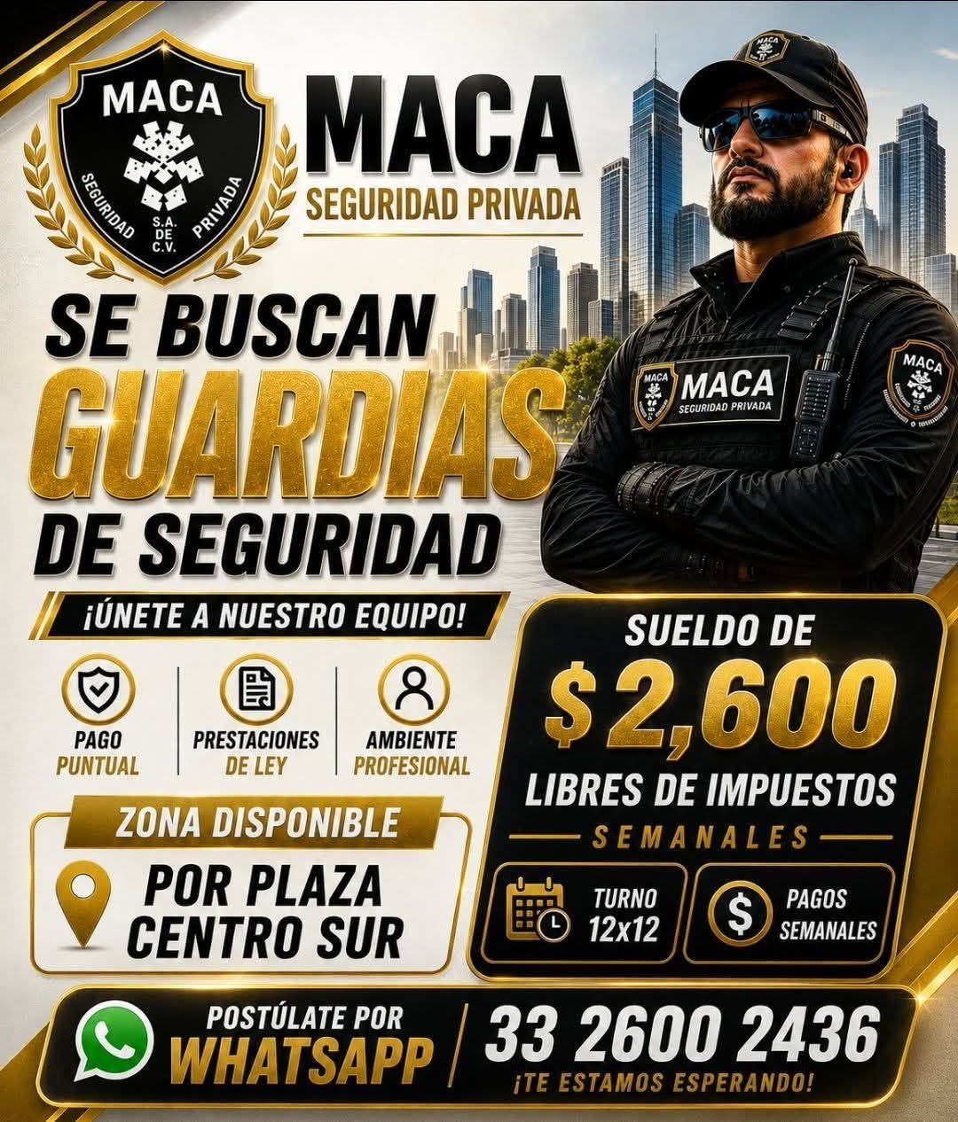 Guardia de Seguridad